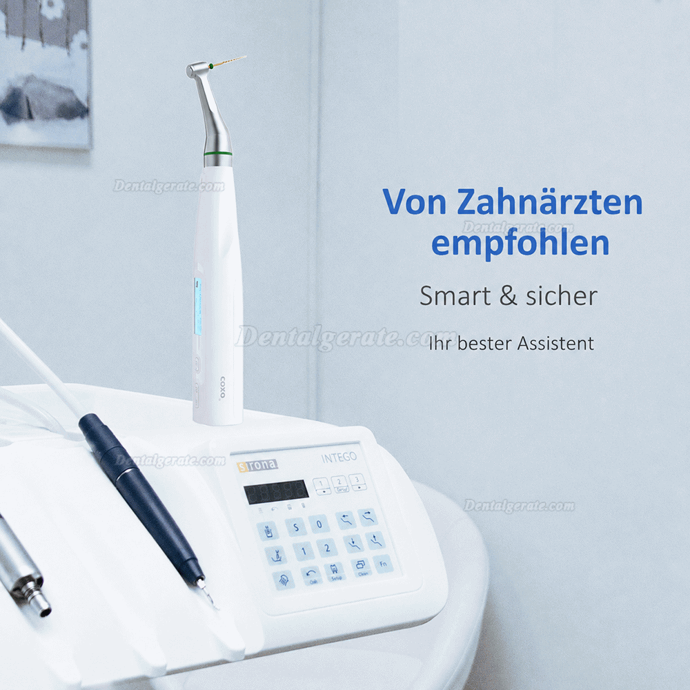 Yusendent COXO C-smart Mini AP 2 in 1 Motor de Endodontie mit Apexlokalisator